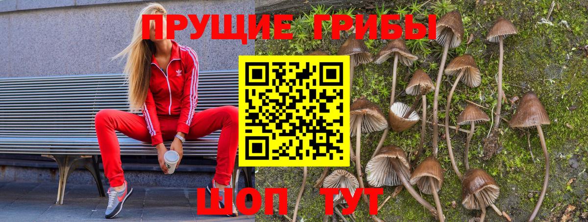 Галлюциногенные грибы мухоморы  Вход с VPN  Лениногорск 