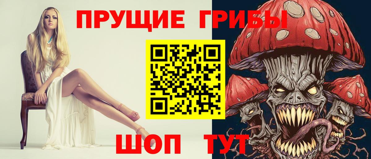 Галлюциногенные грибы Psilocybe Лениногорск